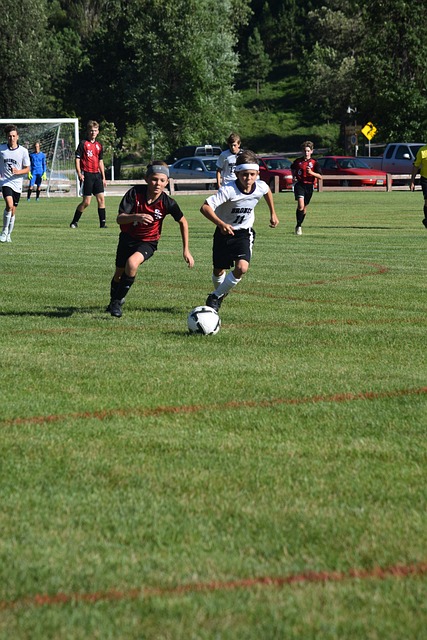 远充满了悬 远充满了悬