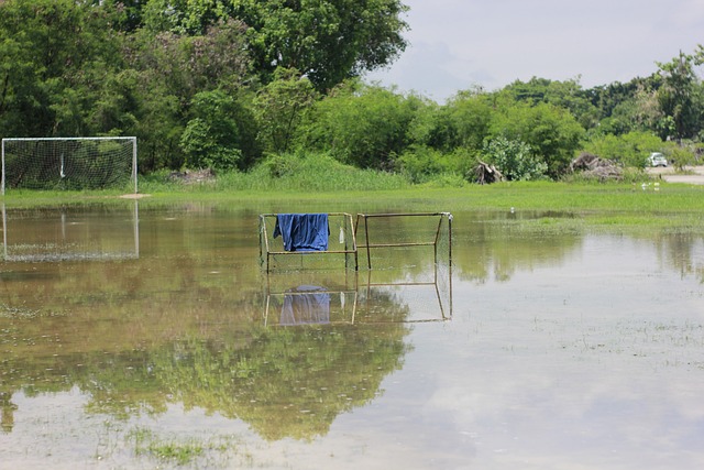 支小國足球 支小國足球