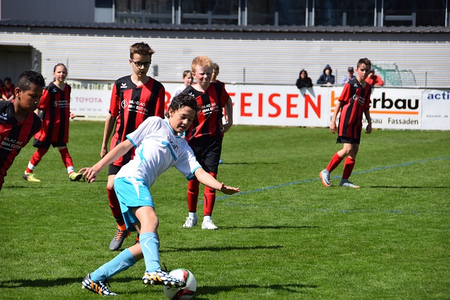 地运用了 地运用了