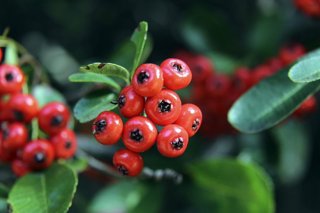 传奇背后的 传奇背后的