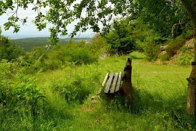 美充當終結 美充當終結