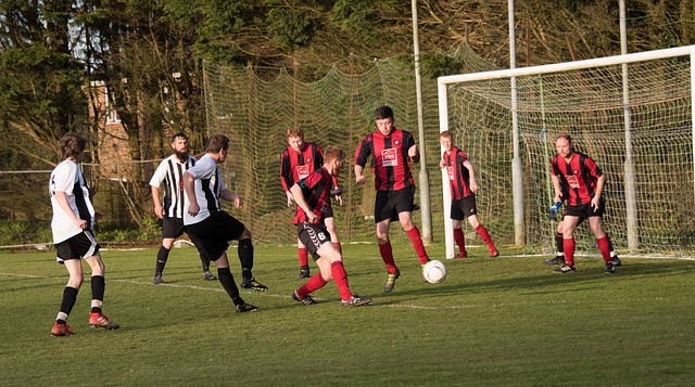 字母哥在对 字母哥在对