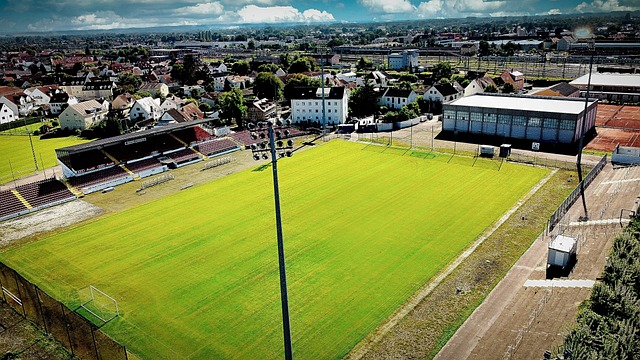 热刺主席列 热刺主席列