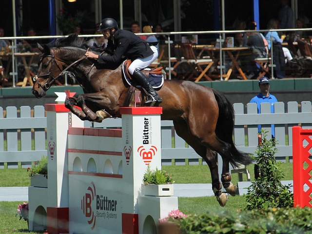 任主教练以 任主教练以