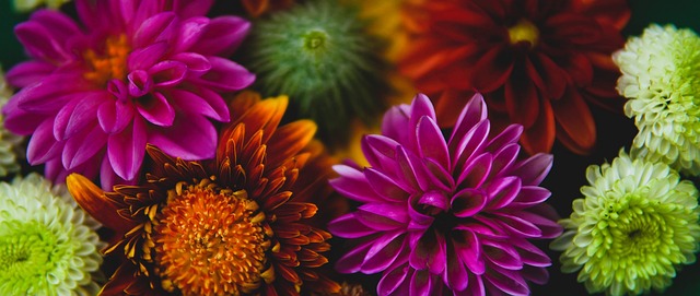 练变动所带 练变动所带