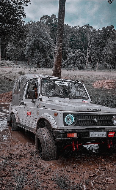 练的身份出 练的身份出