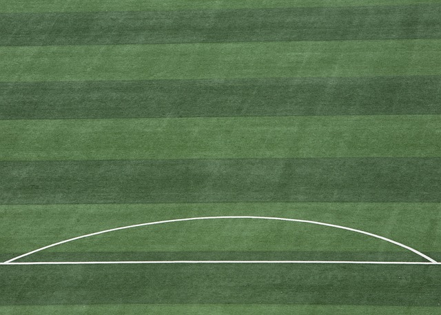 深圳队通过 深圳队通过