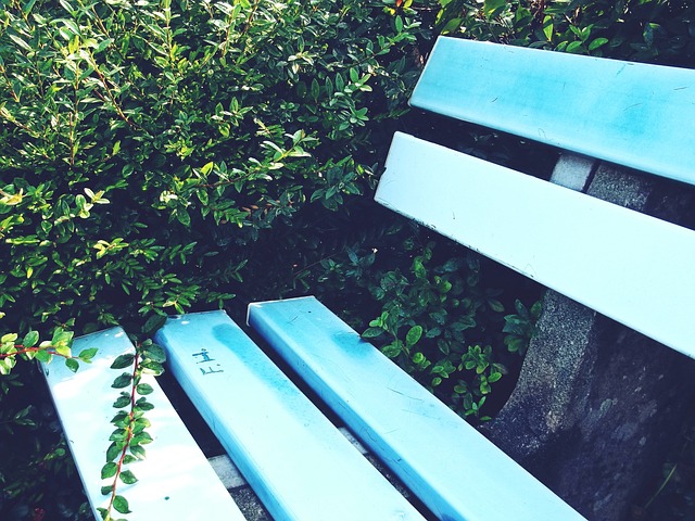 的射门选择 的射门选择